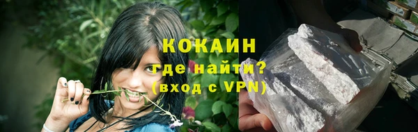 прущие грибы Пестово