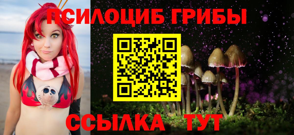 Галлюциногенные грибы Magic Shrooms  купить наркоту  Вход с VPN  Белогорск  Галлюциногенные грибы Psilocybine cubensis 